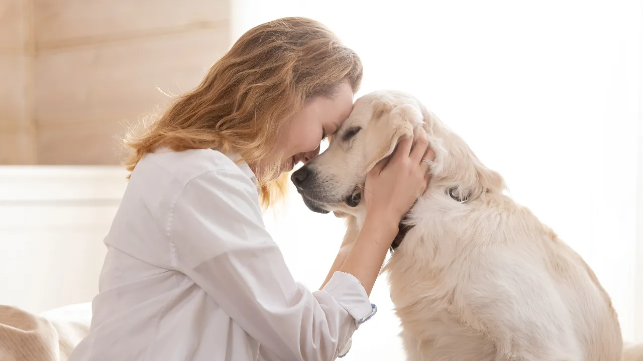 O que é seguro pet: proteção completa para seu melhor amigo